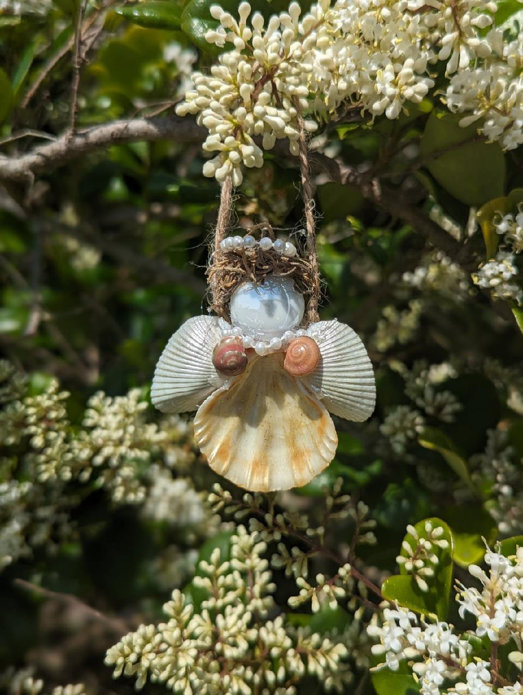 Shell Angels