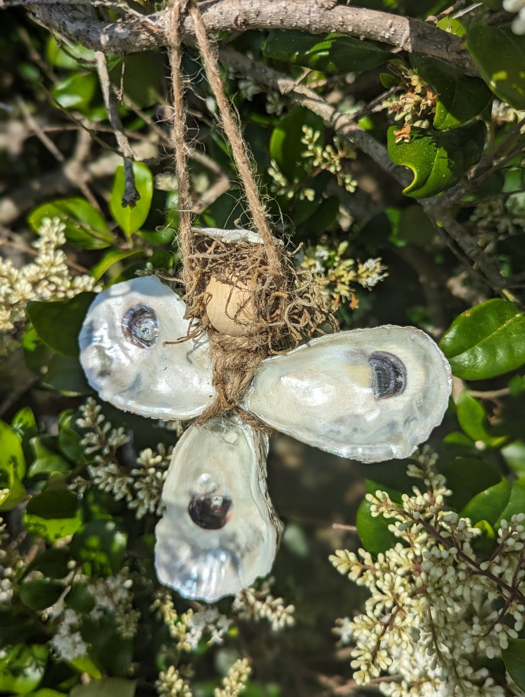 Shell Angels