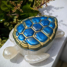 Load image into Gallery viewer, Turtle Trinket Boxes
