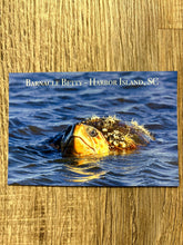 Load image into Gallery viewer, Harbor Island South Carolina Postcards
